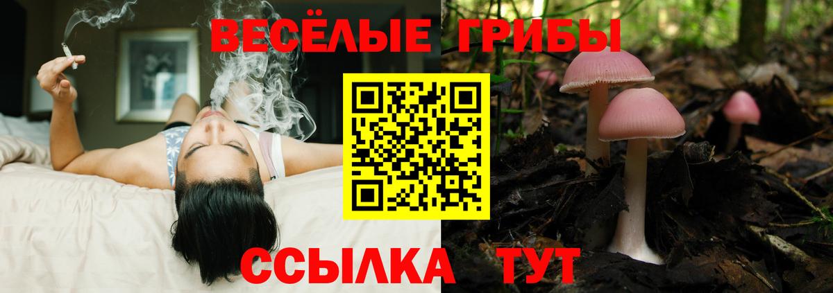 Псилоцибиновые грибы GOLDEN TEACHER  Галлюциногенные грибы ЛСД  Усолье-Сибирское  Вход с VPN 