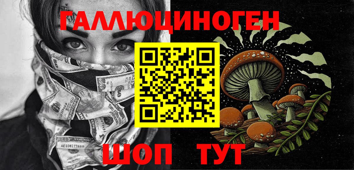 Галлюциногенные грибы Psilocybe Усолье-Сибирское